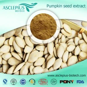 Nhà cung cấp chiết xuất hạt bí ngô hòa tan trong nước Bán buôn