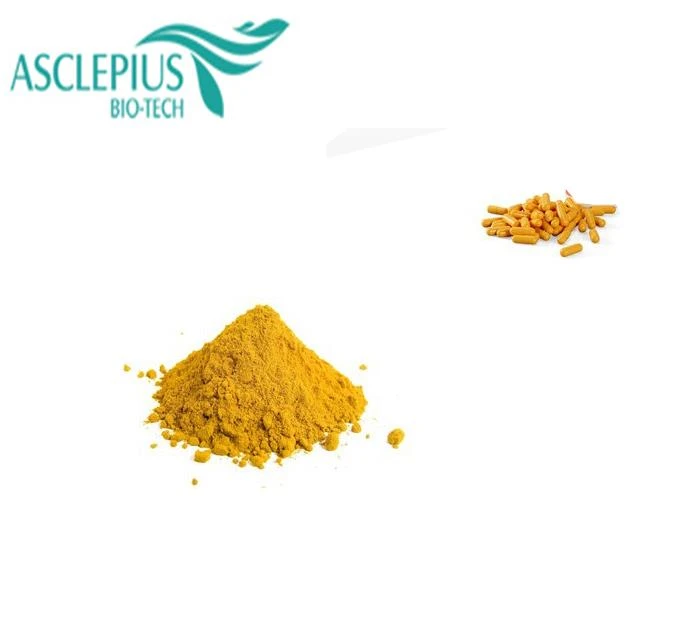 Nhà máy Asclepius cung cấp chiết xuất Curcumin / viên nang curcumin