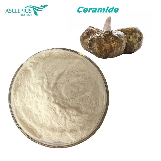 Nhà máy cung cấp bột Ceramide 3