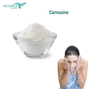 SỐ CAS 305-84-0/L-Carnosine